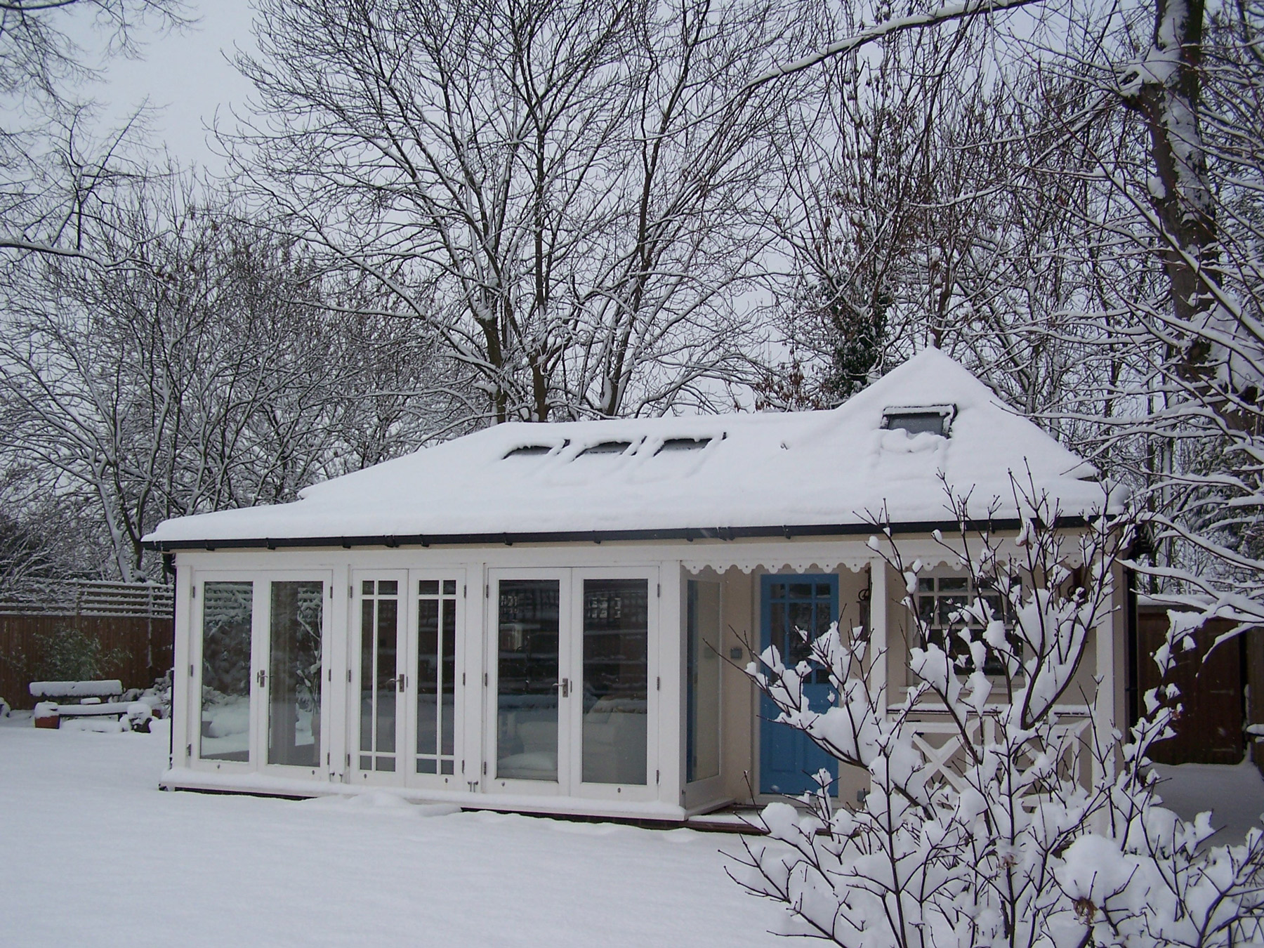 Snow-covered roof and branches